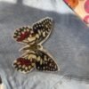 Butterfly Print Cotton Fabric Sew Onn Patch 6 x 5 Inch – SP0029